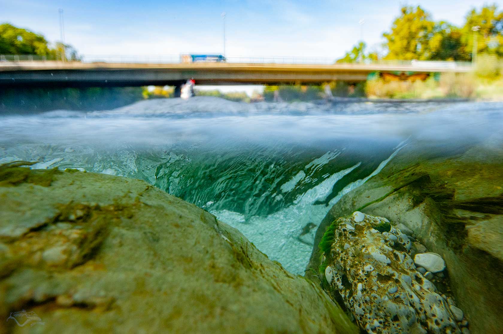 Blick ins fallende Wasser einer Kaskade. Die Wasserunterseite schimmert bläulich transluzent. Unterwasser rechts und links Felsbrocken. Dazwischen eingekeilt und von der Strömung überspült ein Stück Konglomerat mit Algen-Bewuchs. Überwasser, isarabwärts im Bild-Hintergrund die Brudermühl-Brücke mit Adler-Graffiti. Ein blauer LKW fährt über sie in Richtung Giesing. Das Bild ist in je eine Hälfte über- und unterwasser geteilt.