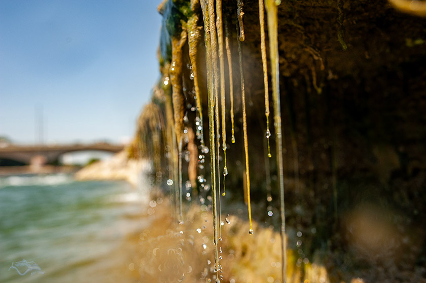 In der Isar, Wildwasser, Gischt, Gegenlicht, St. Maximilian München
