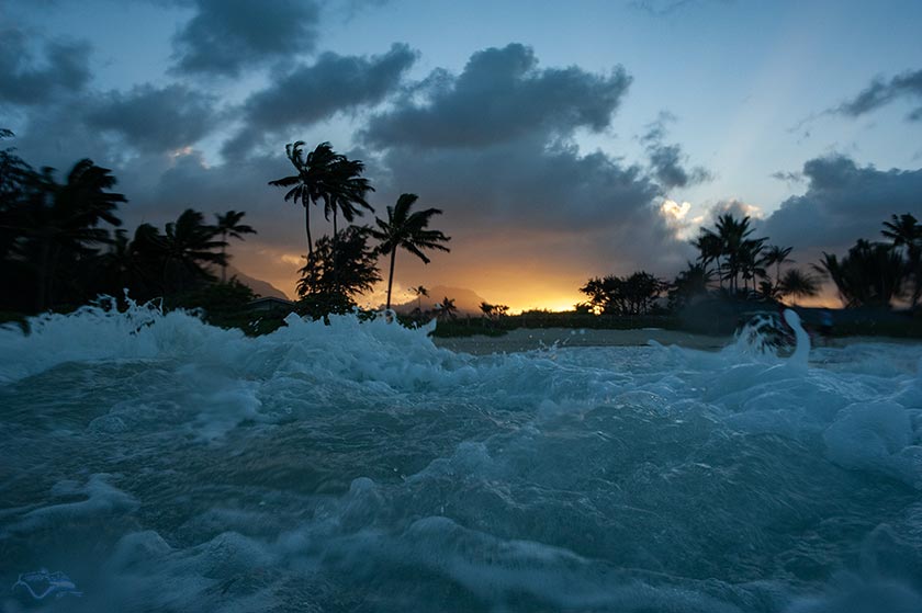 Shorebreak, Palmen, Abend, Kailua Oahu Hawaii Pazifik
