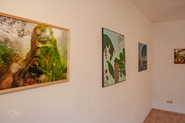 Ausschnitt der Ausstellung stereospective im Bereiteranger