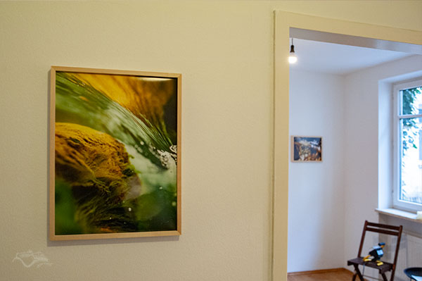 Positionen auf der Ausstellung stereospective in der Unteren Au