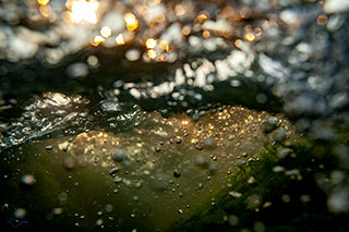 aufschäumende Flusswelle in der Isar vor der Museumsinsel