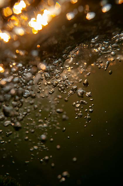 Unter der Oberfläche im Fluß gltzern Luftblasen im Abendlicht