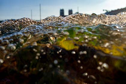 schäumende Flußwellen in der Isar vor den Türmen der Kirche St. Maximilian