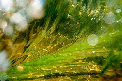 Wellenunterseite in einem Flußwehr in der Kleinen Isar